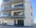 railings2019 (16)